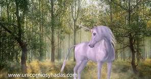 🦄 UNICORNIOS: ¿Cómo son los unicornios? ¿Qué poderes tienen? CARACTERÍSTICAS PRINCIPALES. ✨✨