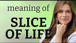 Understanding "Slice of Life": A Simple Guide