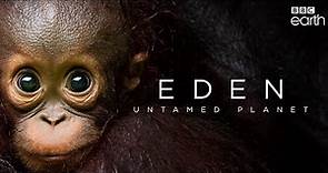 Trailer: «Eden: Untamed Planet»