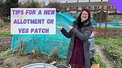 New Allotment Plot Tips - Allotment Gardening For Beginners UK