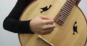 Basic Techniques of Ruan, Chinese Lute