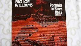 Big Joe Williams - Portraits In Blues, Vol. 7