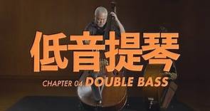 低音提琴介紹 Double Bass