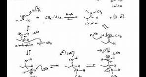 Imine Formation from an Aldehyde and Primary Amine in Organic Chemistry