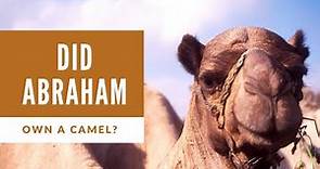 Did Abraham Own a Camel? Biblical Anachronism, or Bible Truth?