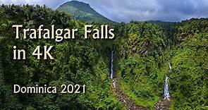 Trafalgar Falls in 4K, Dominica 2021
