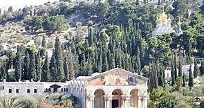 Gethsemane - Mount of Olives