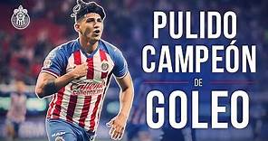 Alan Pulido campeón de goleo | Todos sus goles | Apertura 2019