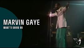 Marvin Gaye - What's Going On (Greatest Hits - Live In Amsterdam)