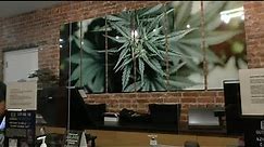First recreational marijuana dispensary in Atlantic City opens