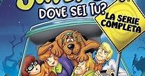 Scooby-Doo! Dove sei tu? - guarda la serie in streaming