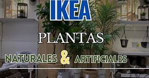 New AT IKEA 🌱NOVEDADES🌱|| PLANTAS 🪴 NATURALES & ARTIFICIALES || OUTDOOR || DECORATIONS