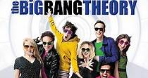 The Big Bang Theory Stagione 10 - streaming online