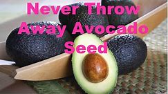 Never Throw Away Avocado Seed | Life Hacks