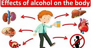 What are the effects of alcohol on the body? 🍺 | Easy Science lesson