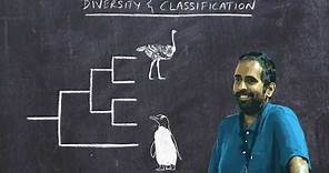 Basic Ornithology: Avian Diversity and Classification