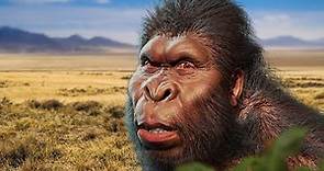 Paranthropus: Our Forgotten Cousin