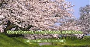 Japanese Folk Song #9: Cherry Blossoms （さくらさくら/Sakura Sakura）