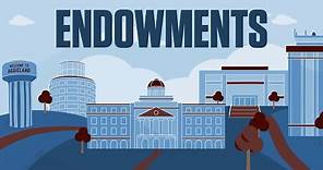 What is an Endowment?