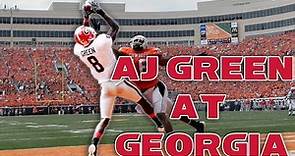 AJ Green | Georgia Highlights