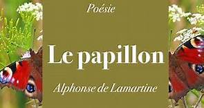 Poésie - Le papillon - Alphonse de Lamartine - French Poetry