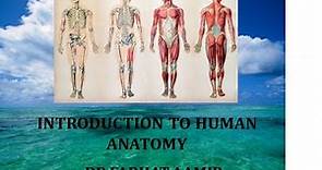 Introduction to Human Anatomy