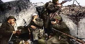 Documental sobre la Batalla de Stalingrado (1942-1943)