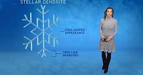 Winter Guide | 35 types of snowflakes