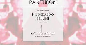 Hilderaldo Bellini Biography - Brazilian footballer of Italian origin