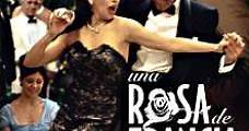 Una rosa de Francia (2006) Online - Película Completa en Español - FULLTV