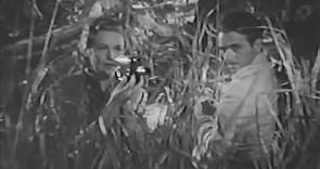 Safari 1940-Douglas Fairbanks Jr., Madeleine Carroll Tullio Carminati.