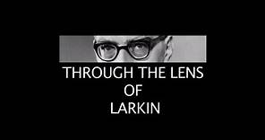 Through the Lens of Larkin