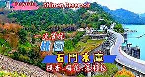 詳細介紹您所不知道的石門水庫 一次賞玩 楓香 梅花 落羽松 Shimen Reservoir Taoyuan