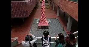 香港大学学生对“国殇之柱”被拆除表示难过