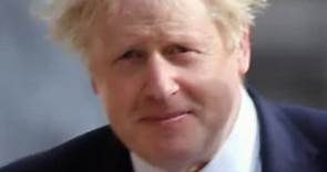 The Truth About Boris Johnson's Hair Revealed