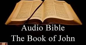 The Book of John - NIV Audio Holy Bible - High Quality and Best Speed - Book 43