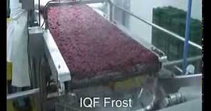 Congelación IQF por lecho fluido.