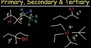 Primary, Secondary, Tertiary, & Quarternary Hydrogen and Carbon Atoms
