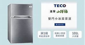 TECO東元家電 經典再升級 101L進擊的小鮮綠冰箱 - R1011S