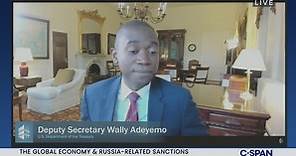 Deputy Treasury Secretary Wally Adeyemo on the Global Economy