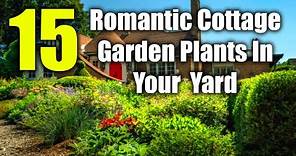 15 Charming Cottage Garden Plants | 15 Plants Bringing Romance to Your Cottage Garden