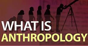What is Anthropology | Sociocultural | Linguistic & Biological Anthropology | What is Archaeology