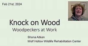 "Knock on Wood!" by Shona Aitken, Wolf Hollow Wildlife Rehabilitation Center