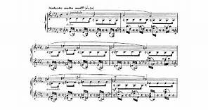 Gabriel Fauré - 9 Préludes [With score]