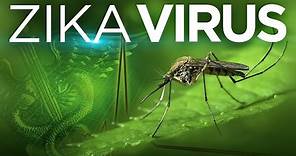 Zika Virus: Explained