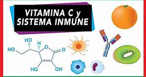 Vitamina C y el sistema inmune
