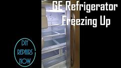 #GE Profile #Refrigerator PFSS6PKWBSS / #Samung Refrigerator RF267 - Refrigerator Freezing