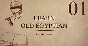 History of the Egyptian Language | Ancient Egyptian Language Lesson 01