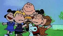 Charlie Brown und seine Freunde - Champion Charlie Brown