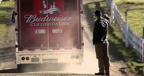 The Clydesdales "Brotherhood" - 2013 Budweiser Super Bowl [Commercial]